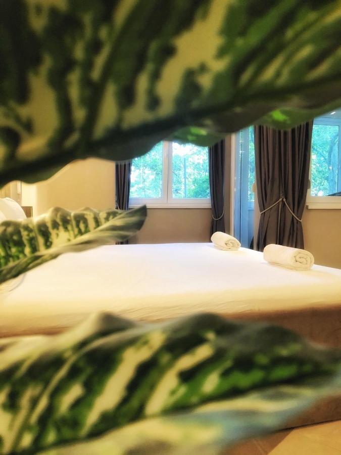 Spa Pleasure Apartman Novi Sad Eksteriør billede